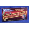 ON Artemia / Brine Shrimp Eggs
